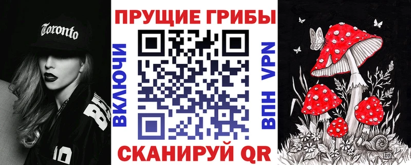 сколько стоит  гидра ссылка  маркетплейс клад  Краснослободск  Псилоцибиновые грибы GOLDEN TEACHER 